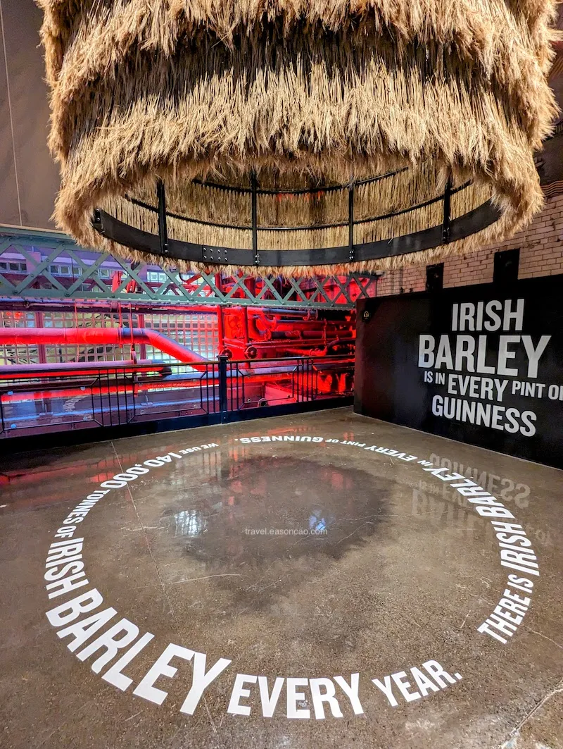 Guinness 內富含愛爾蘭大麥